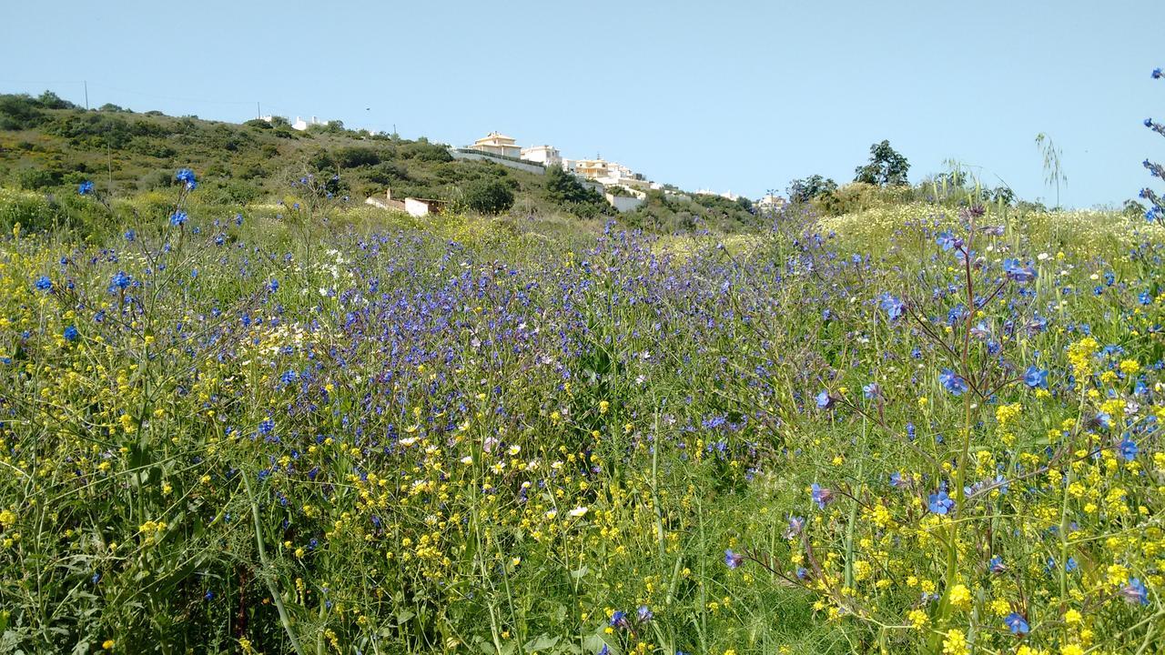 Casa Cereja 'Adults Only' Bed and Breakfast Albufeira Buitenkant foto