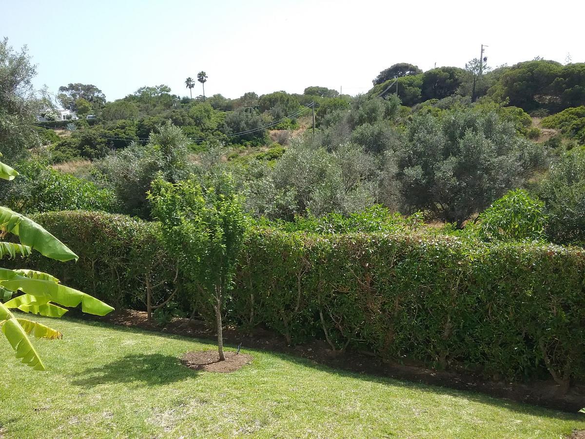 Casa Cereja 'Adults Only' Bed and Breakfast Albufeira Buitenkant foto